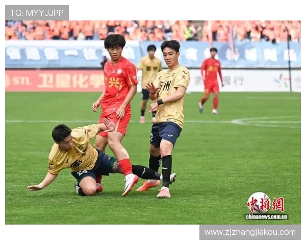 嘉兴足球赛事（嘉兴足球赛事官网）sports